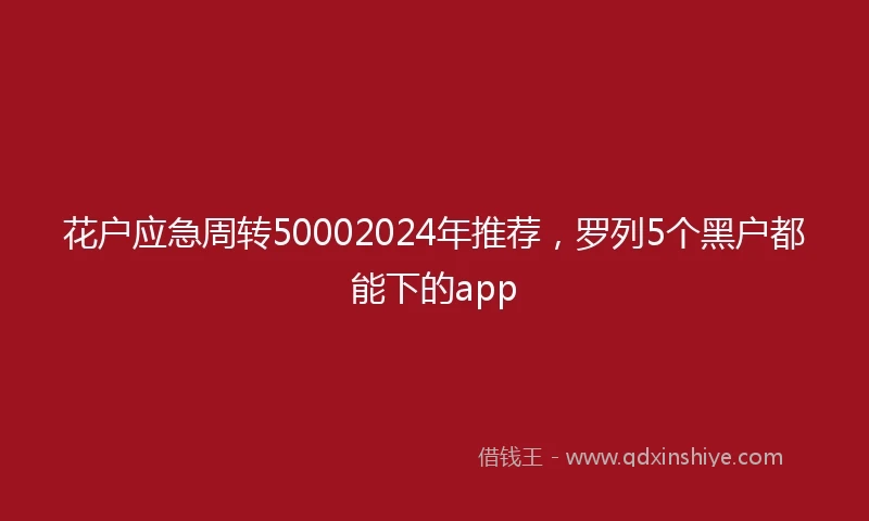 花户应急周转50002024年推荐，罗列5个黑户都能下的app