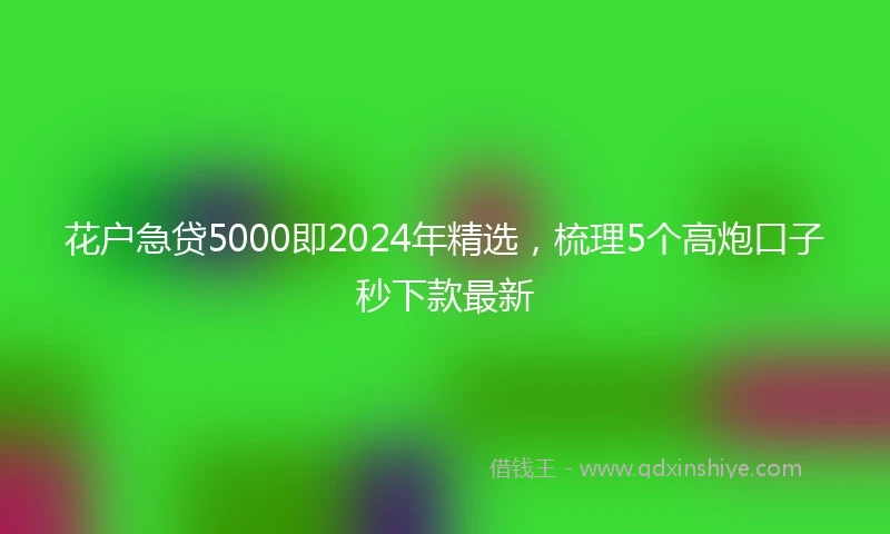 花户急贷5000即2024年精选，梳理5个高炮口子秒下款最新