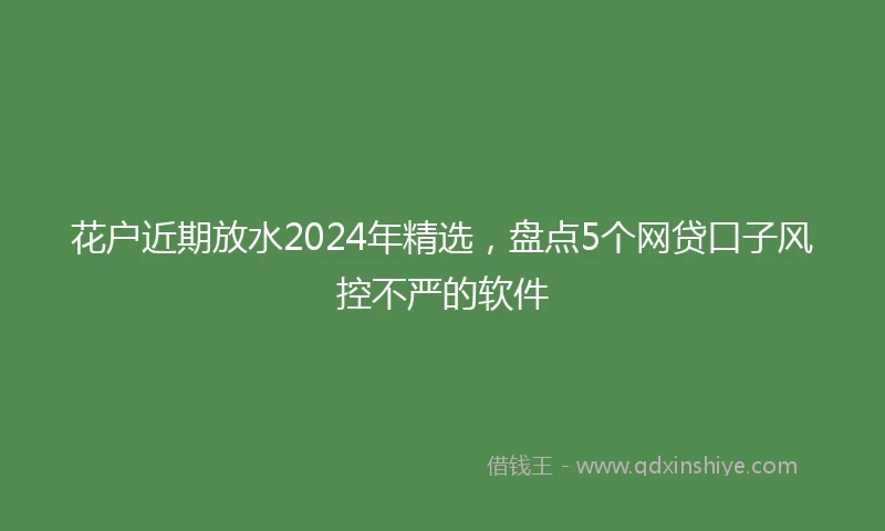 花户近期放水2024年精选，盘点5个网贷口子风控不严的软件