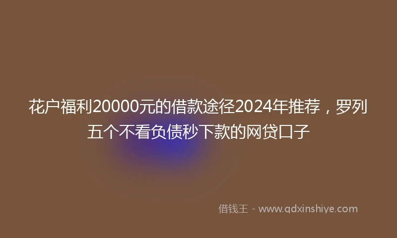 花户福利20000元的借款途径2024年推荐，罗列五个不看负债秒下款的网贷口子