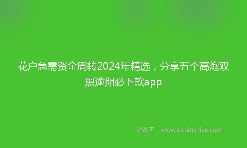 花户急需资金周转2024年精选，分享五个高炮双黑逾期必下款app