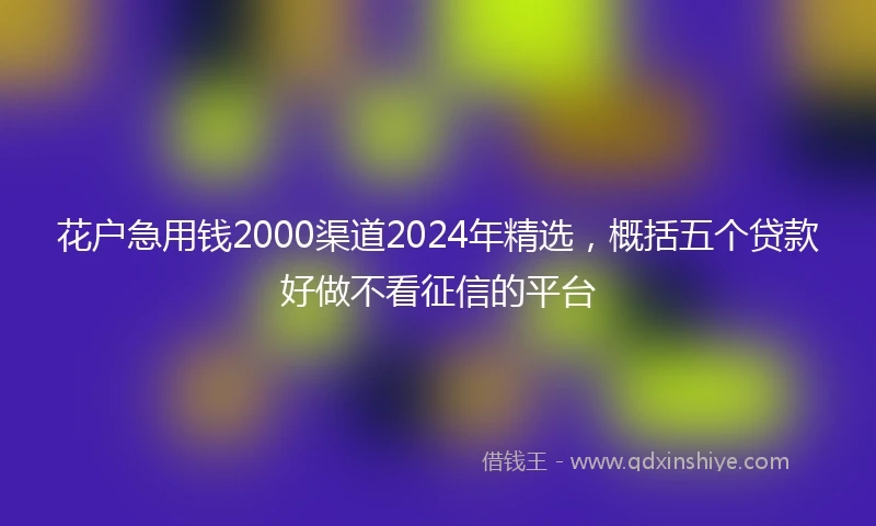 花户急用钱2000渠道2024年精选，概括五个贷款好做不看征信的平台