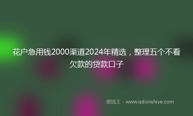 花户急用钱2000渠道2024年精选，整理五个不看欠款的贷款口子