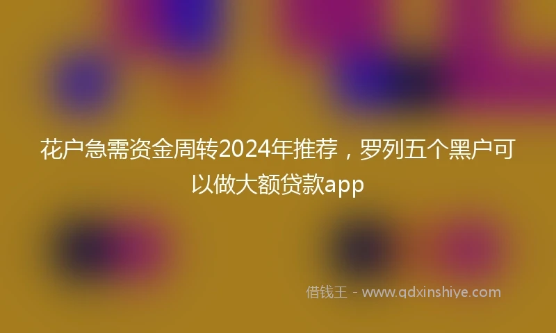 花户急需资金周转2024年推荐，罗列五个黑户可以做大额贷款app
