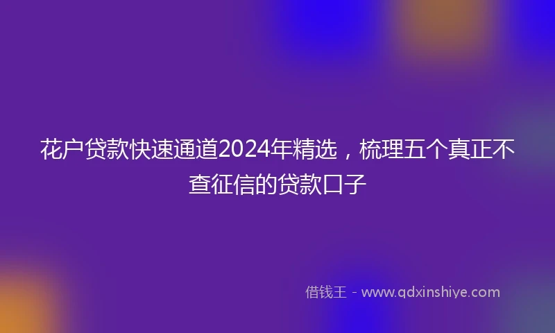 花户贷款快速通道2024年精选，梳理五个真正不查征信的贷款口子