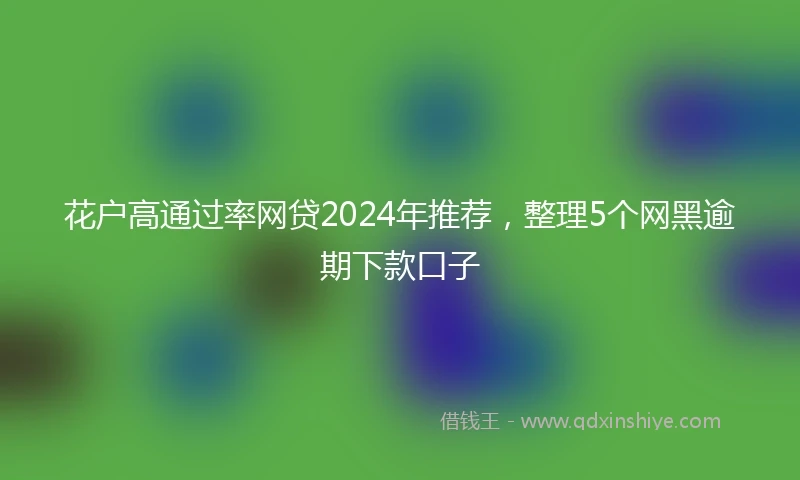 花户高通过率网贷2024年推荐，整理5个网黑逾期下款口子