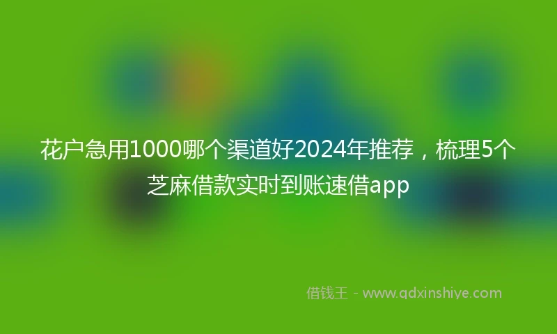 花户急用1000哪个渠道好2024年推荐，梳理5个芝麻借款实时到账速借app