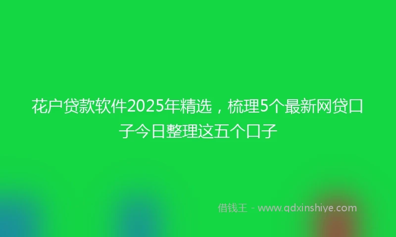花户贷款软件2025年精选，梳理5个最新网贷口子今日整理这五个口子