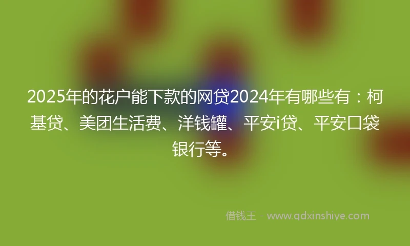 2025年的花户能下款的网贷2024年有哪些有：柯基贷、美团生活费、洋钱罐、平安i贷、平安口袋银行等。