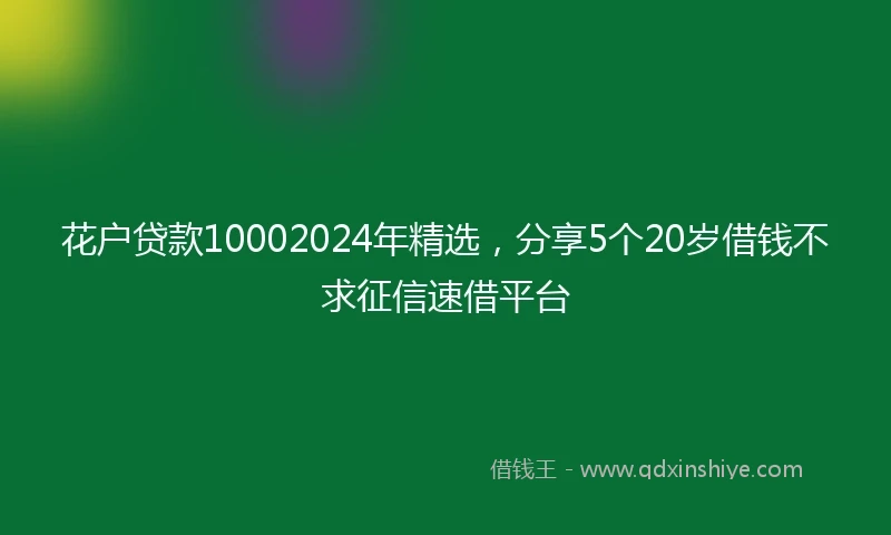 花户贷款10002024年精选，分享5个20岁借钱不求征信速借平台