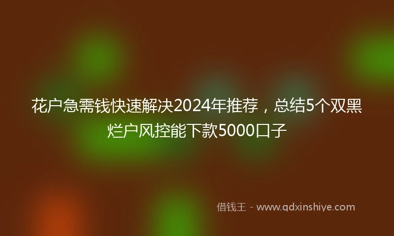 花户急需钱快速解决2024年推荐，总结5个双黑烂户风控能下款5000口子