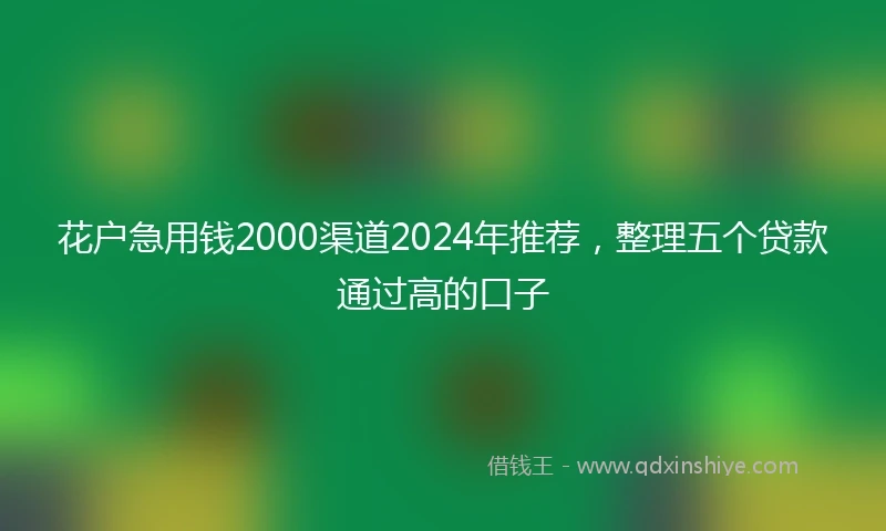 花户急用钱2000渠道2024年推荐，整理五个贷款通过高的口子
