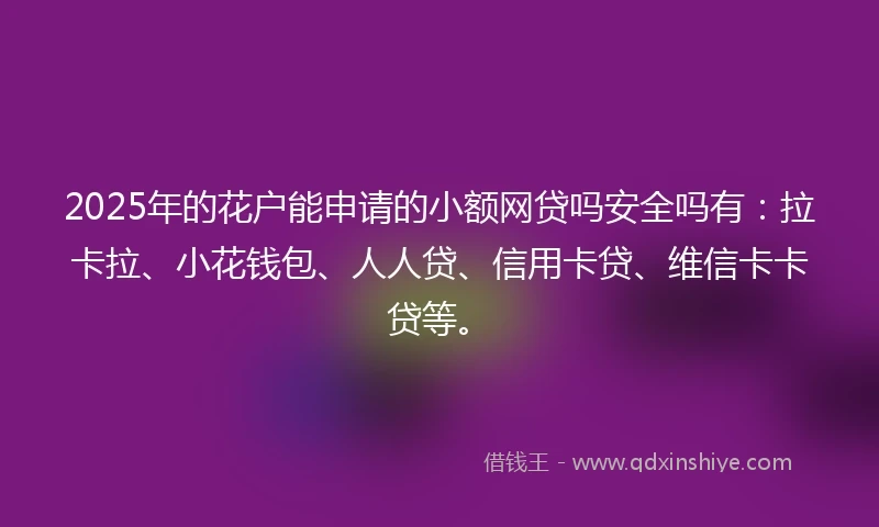 2025年的花户能申请的小额网贷吗安全吗有：拉卡拉、小花钱包、人人贷、信用卡贷、维信卡卡贷等。