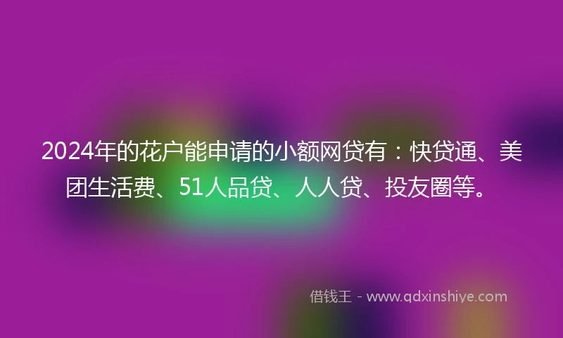 2024年的花户能申请的小额网贷有：快贷通、美团生活费、51人品贷、人人贷、投友圈等。