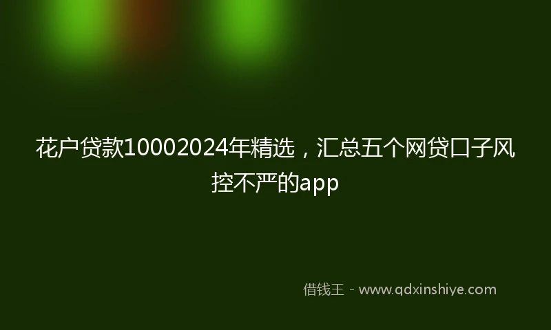 花户贷款10002024年精选，汇总五个网贷口子风控不严的app
