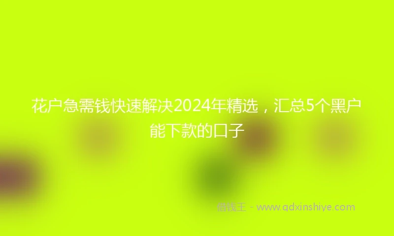 花户急需钱快速解决2024年精选，汇总5个黑户能下款的口子
