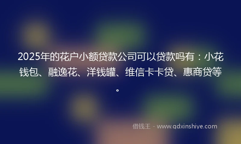 2025年的花户小额贷款公司可以贷款吗有：小花钱包、融逸花、洋钱罐、维信卡卡贷、惠商贷等。