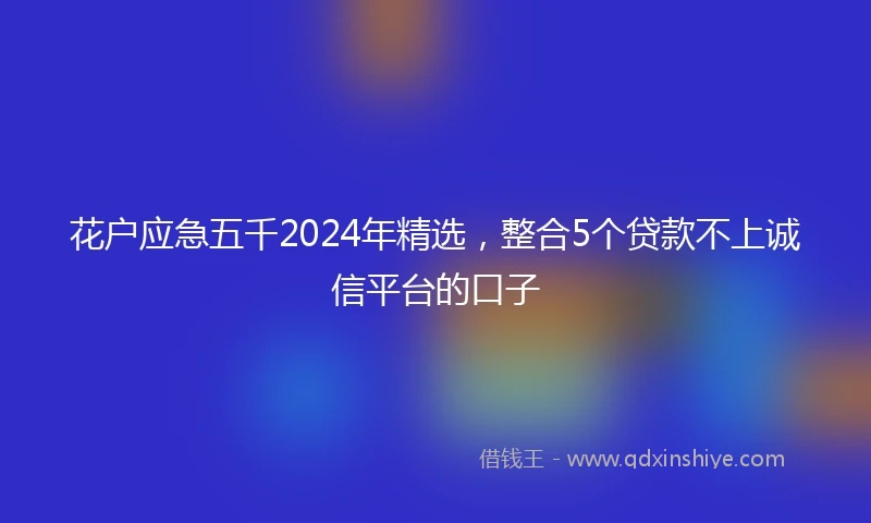 花户应急五千2024年精选，整合5个贷款不上诚信平台的口子