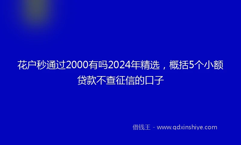 花户秒通过2000有吗2024年精选，概括5个小额贷款不查征信的口子