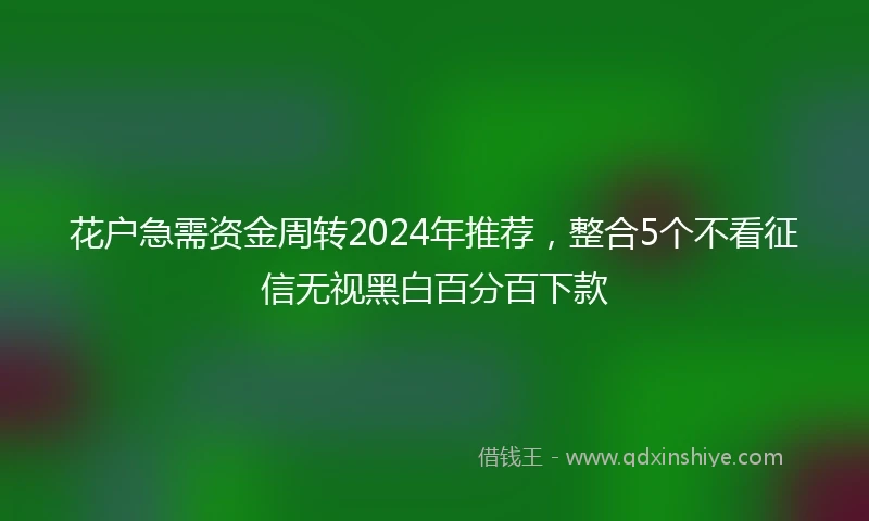 花户急需资金周转2024年推荐，整合5个不看征信无视黑白百分百下款