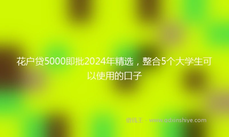 花户贷5000即批2024年精选，整合5个大学生可以使用的口子