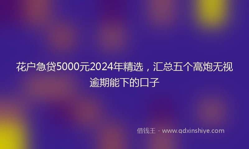 花户急贷5000元2024年精选，汇总五个高炮无视逾期能下的口子