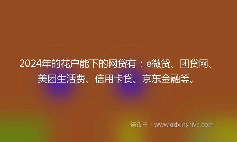 2024年的花户能下的网贷有：e微贷、团贷网、美团生活费、信用卡贷、京东金融等。