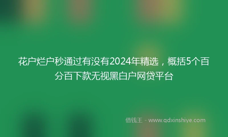 花户烂户秒通过有没有2024年精选，概括5个百分百下款无视黑白户网贷平台