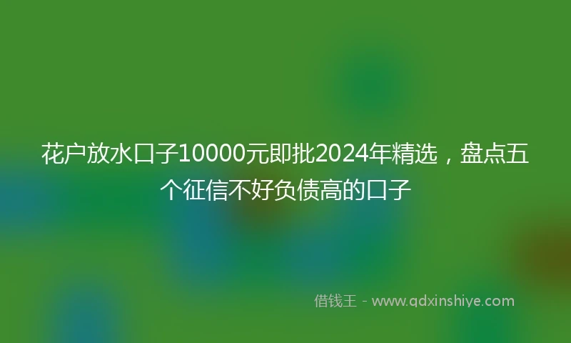 花户放水口子10000元即批2024年精选，盘点五个征信不好负债高的口子