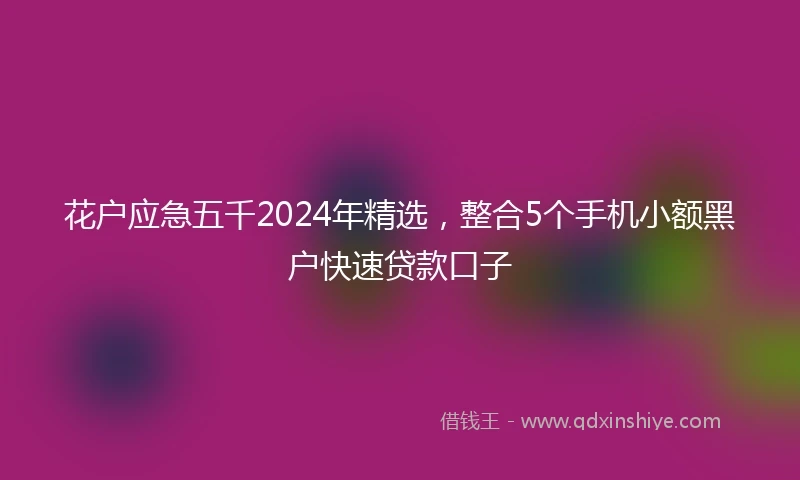花户应急五千2024年精选，整合5个手机小额黑户快速贷款口子