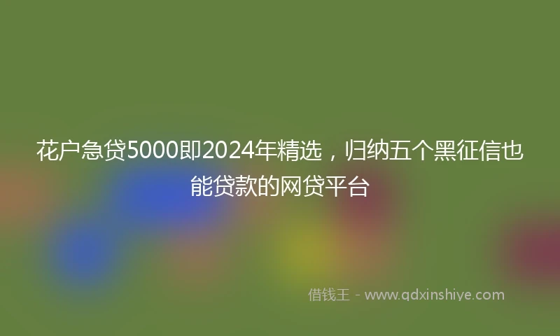 花户急贷5000即2024年精选，归纳五个黑征信也能贷款的网贷平台