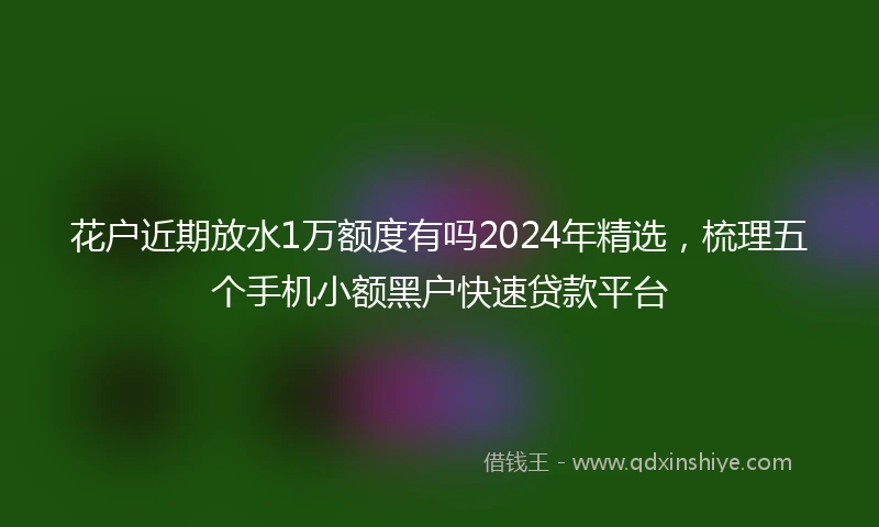 花户近期放水1万额度有吗2024年精选，梳理五个手机小额黑户快速贷款平台