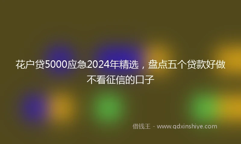 花户贷5000应急2024年精选，盘点五个贷款好做不看征信的口子