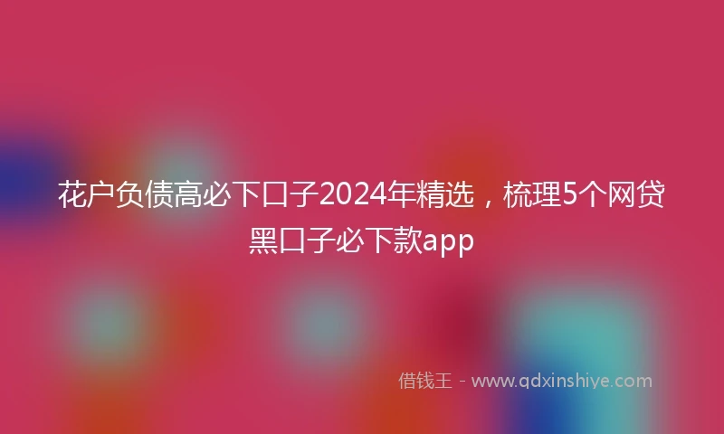 花户负债高必下口子2024年精选，梳理5个网贷黑口子必下款app