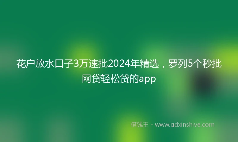 花户放水口子3万速批2024年精选，罗列5个秒批网贷轻松贷的app