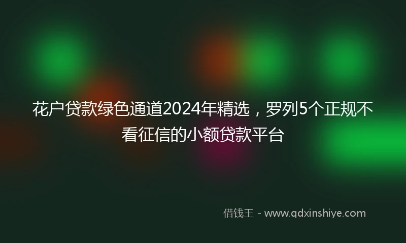 花户贷款绿色通道2024年精选，罗列5个正规不看征信的小额贷款平台