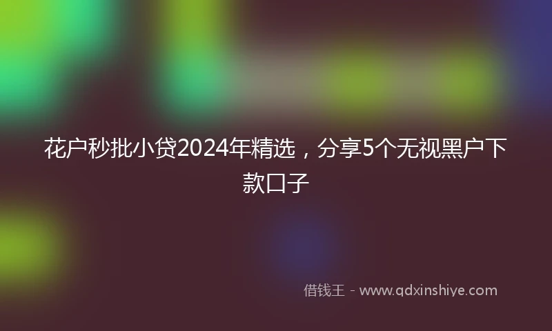 花户秒批小贷2024年精选，分享5个无视黑户下款口子