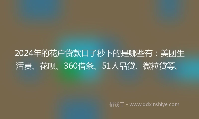 2024年的花户贷款口子秒下的是哪些有：美团生活费、花呗、360借条、51人品贷、微粒贷等。