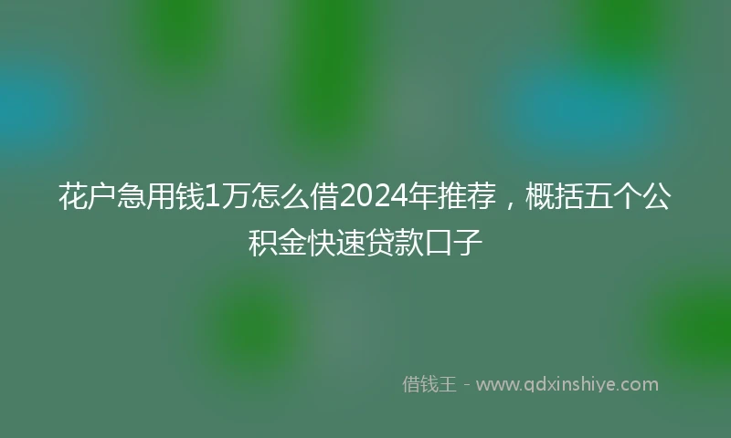 花户急用钱1万怎么借2024年推荐，概括五个公积金快速贷款口子