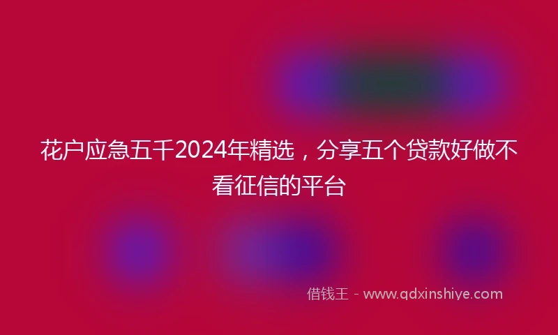 花户应急五千2024年精选，分享五个贷款好做不看征信的平台