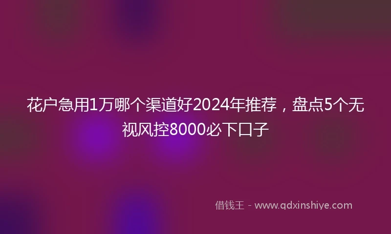 花户急用1万哪个渠道好2024年推荐，盘点5个无视风控8000必下口子