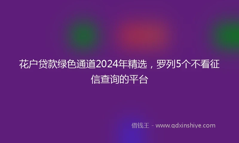 花户贷款绿色通道2024年精选，罗列5个不看征信查询的平台
