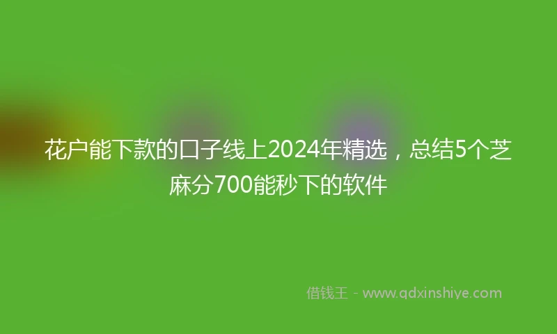 花户能下款的口子线上2024年精选，总结5个芝麻分700能秒下的软件