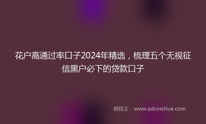 花户高通过率口子2024年精选，梳理五个无视征信黑户必下的贷款口子