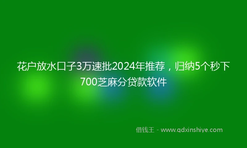 花户放水口子3万速批2024年推荐，归纳5个秒下700芝麻分贷款软件