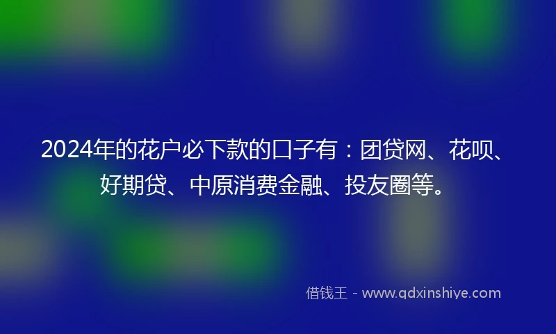 2024年的花户必下款的口子有：团贷网、花呗、好期贷、中原消费金融、投友圈等。