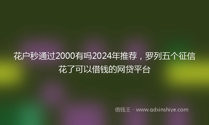 花户秒通过2000有吗2024年推荐，罗列五个征信花了可以借钱的网贷平台