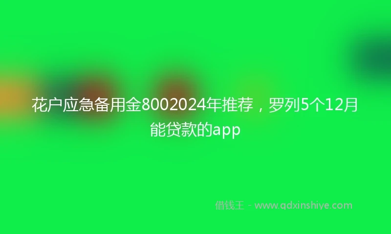 花户应急备用金8002024年推荐，罗列5个12月能贷款的app