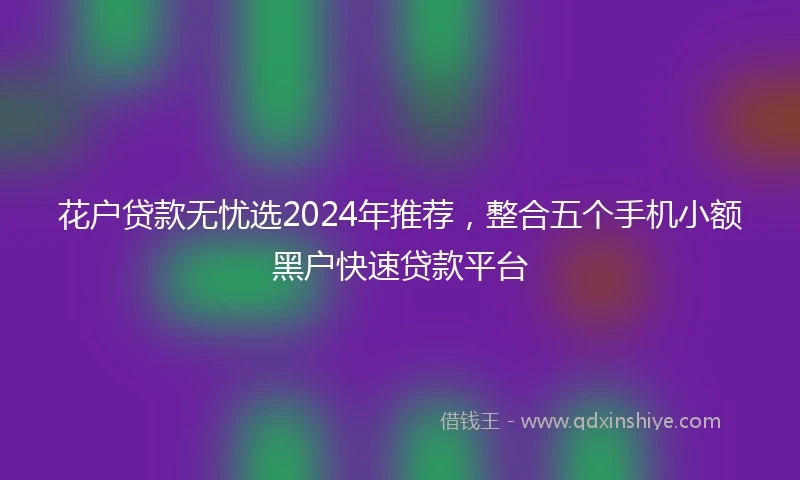 花户贷款无忧选2024年推荐，整合五个手机小额黑户快速贷款平台