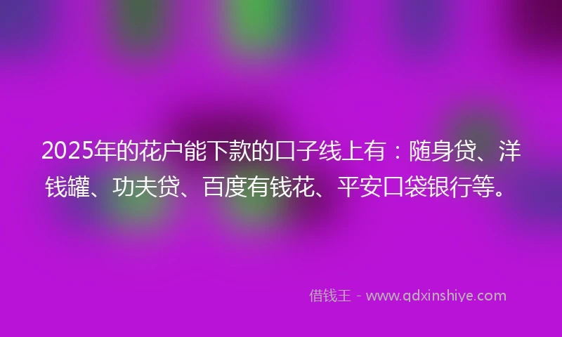 2025年的花户能下款的口子线上有：随身贷、洋钱罐、功夫贷、百度有钱花、平安口袋银行等。